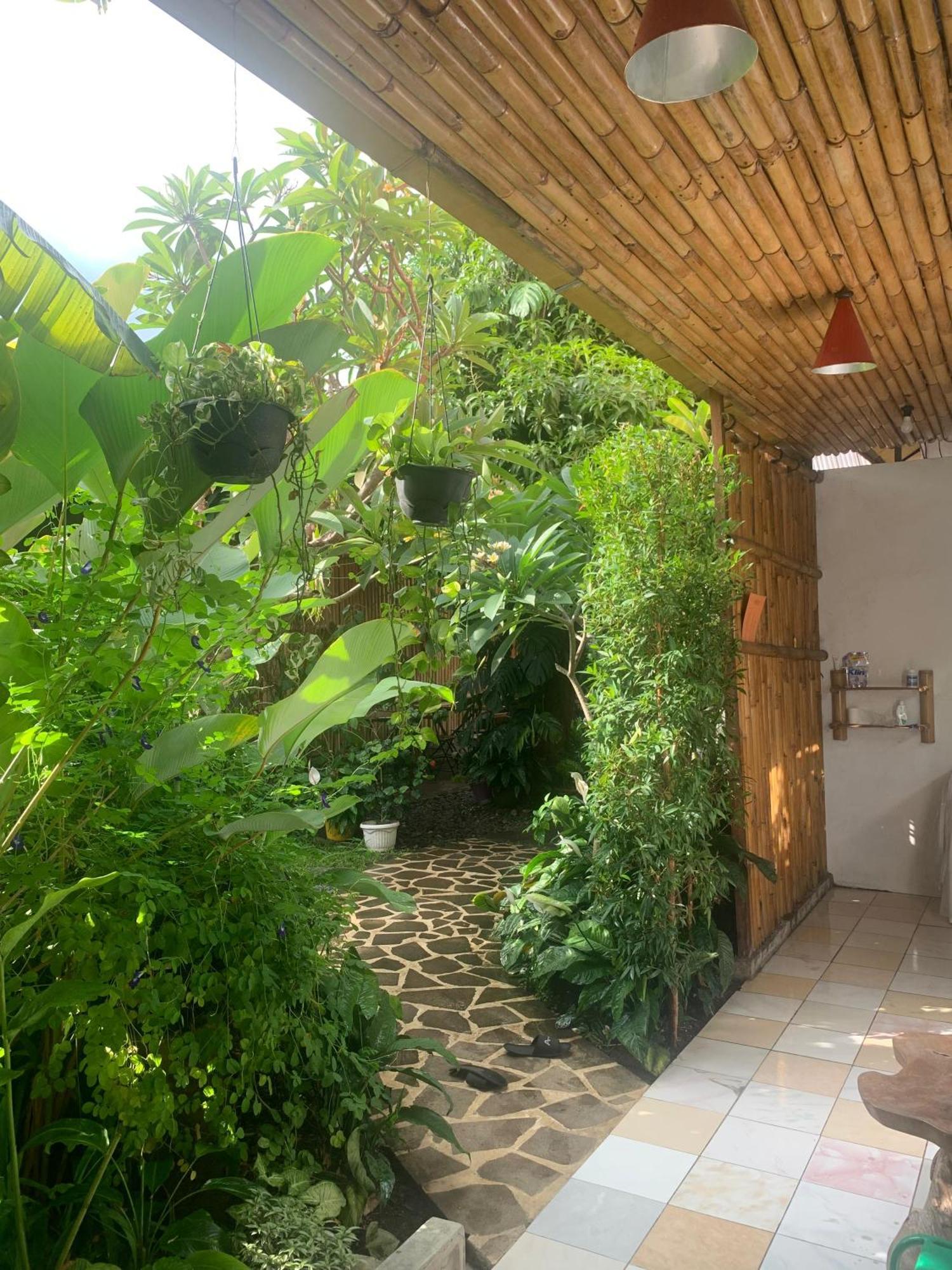 Viavia Guesthouse Yogyakarta Esterno foto